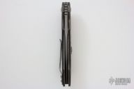 Wayfarer W514 with Skull Inset