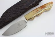 Predator - Great White - Giraffe Bone