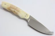 Squirrel with Warthog Tusk