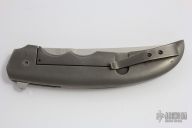 Hybrid Persian Flipper