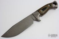 Eastwood Tiger - Integral Bowie