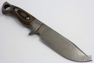 Eastwood Tiger - Integral Bowie