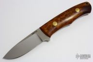 Model 1 with Exhibition Desert Ironwood