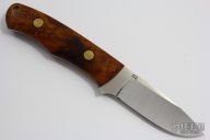 Model 1 with Exhibition Desert Ironwood