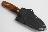 Model 1 with Exhibition Desert Ironwood