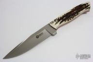 Arbolito Relincho Cuerno de Ciervo