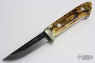 Sheath Knife - Mammoth Ivory Handle by Moriya