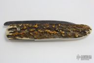 Bichu-no-Kami Stag NAS w/ Sheath