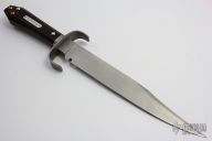 Bagwell Bowie - The Fortress