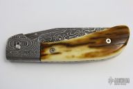 Mammoth Ivory and Damascus Bolster Release