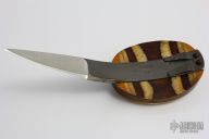 Belt Buckle Knife with Scrimshaw