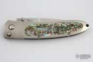 M20-AB Titanium Interframe Icon