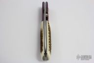 Stag Linerlock Folder