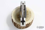 Minnow - Early Model