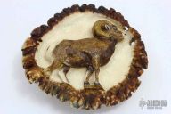 Stag Crown Belt Buckle