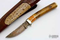 Small Damascus Hunter