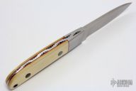 Fixed Blade with Ivory and Abalone