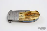 Full Dress Puffin Flipper