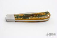 Mammoth Ivory Slipjoint