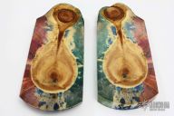 Alaskan Poplar Scales