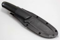 KS-1 - Master Skinner