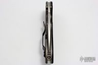 C172CFTIP Domino Flipper