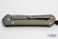 Large Sebenza 21 CGG - Tanked