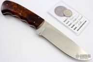 Giant - Hippo with Desert Ironwood