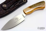 Bush Baby Gecko with Giraffe Bone