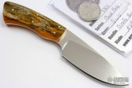 Bush Baby Gecko with Giraffe Bone