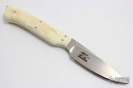 Bush Baby, 20th Anniversary with Warthog Ivory