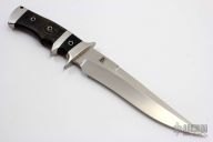 Vangard Fighter #012