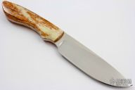 Predator- Lion w/ Giraffe Bone