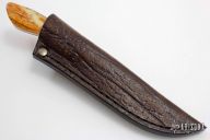 Predator- Lion w/ Giraffe Bone