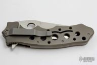 Titanium Triumph Tanto Flipper