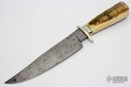 Walrus Ivory and Damascus Bowie