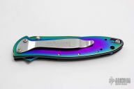 1660VIB Rainbow Leek