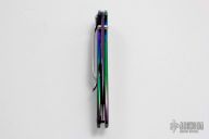 1660VIB Rainbow Leek