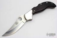 Persian by Ed Schempp