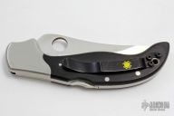 Persian by Ed Schempp