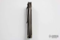 Custom Aqua Flipper - Assisted