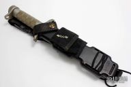 EARLY Buckmaster 184