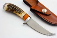 Stag Trailing Point Hunter