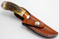 Stag Trailing Point Hunter