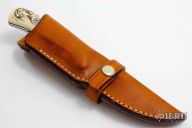 Engraved and Scrimshawed Skinner