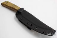 Bussekin Sterile "Spine"