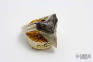 .925 Silver Sharks Tooth Ring