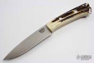 North Star - Sambar Stag