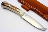 North Star - Sambar Stag