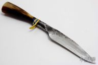 Forged Horn Fixed blade